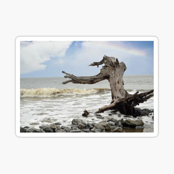 "Driftwood" Sticker for Sale by anchorsofhope Redbubble