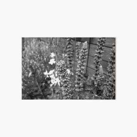 Item preview, Foxgloves growing in an English country garden designed and sold by yackers1.