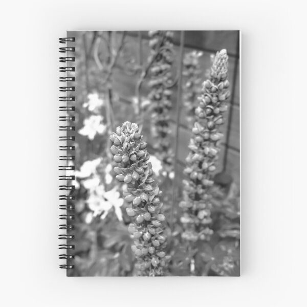 Item preview, Foxgloves growing in an English country garden designed and sold by yackers1.