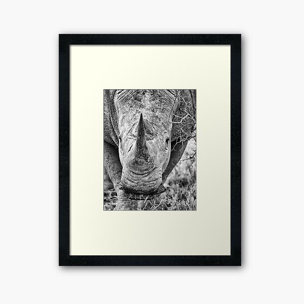 Item preview, As Close As You Would Want To Be designed and sold by Michael Moss Photography.