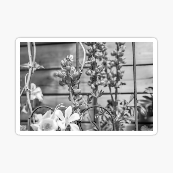 Item preview, Garden flowers designed and sold by yackers1.