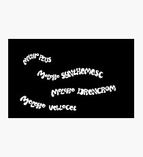 Moloko Plus - Korova Milk Bar - A Clockwork Orange Photographic Print