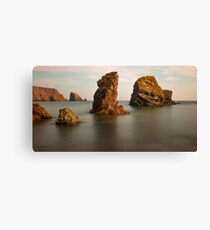 Copper Coast, County Waterford, Ireland Canvas Print