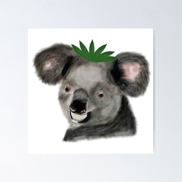 Australian Wildlife Koala Art