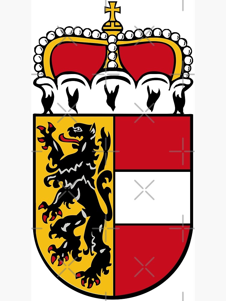 Birthday or just as a surprise. Salzburg T-shirt. Salzburg coat of 