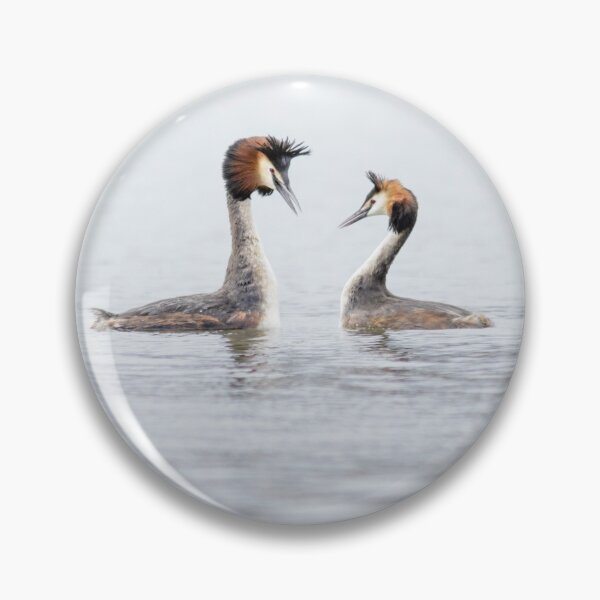 Item preview, Two Grebes designed and sold by Alec Stewart.