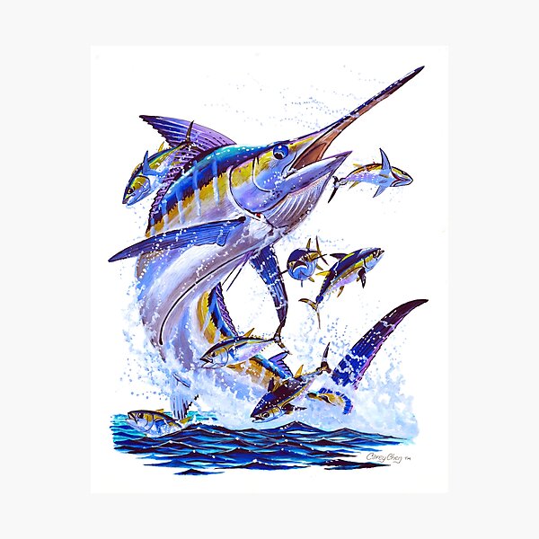 blue marlin and tunas Photographic Print