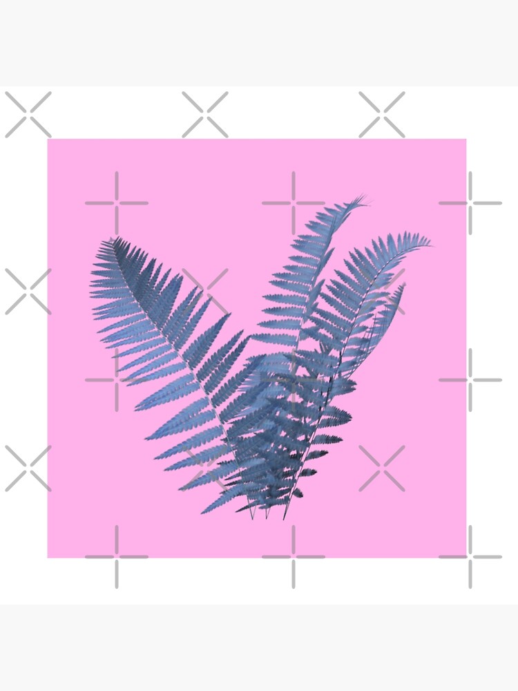 Aesthetic Blue Fern On A Pink Background Poster For Sale By Rocket To