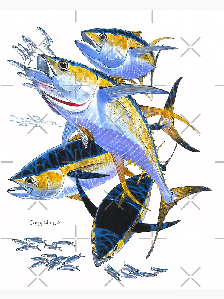 Yellowfin tuna Art Print for Sale by Carey Chen