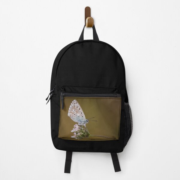 Item preview, Chalkhill Blue On Wild Carrot designed and sold by Alec Stewart.