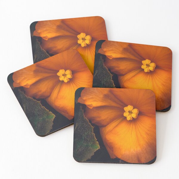 Item preview, Begonia designed and sold by alan shapiro.