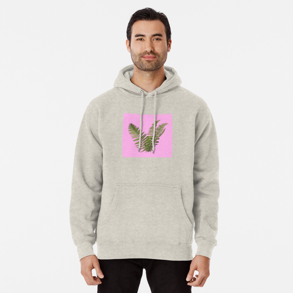 Aesthetic Fern On A Pink Background Pullover Hoodie By Rocket To Pluto Redbubble