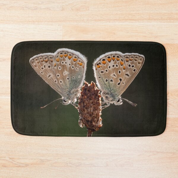 Item preview, Pair of Common Blue Butterflies designed and sold by Alec Stewart.