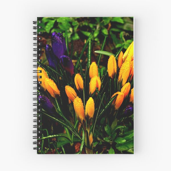 Item preview, Spring flowers after the rain designed and sold by kostolany244.