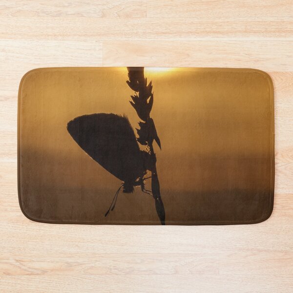Item preview, Common Blue Butterfly at Sunset designed and sold by Alec Stewart.