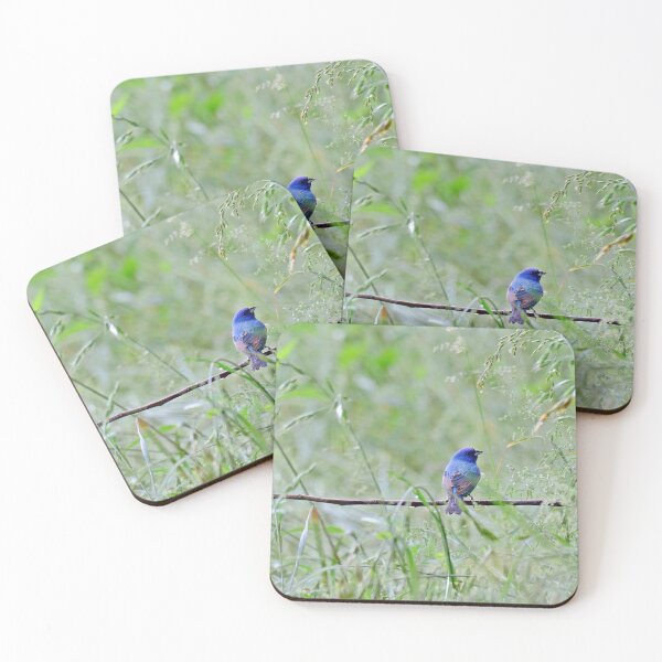 Item preview, Male Indigo Bunting designed and sold by InGFocus.