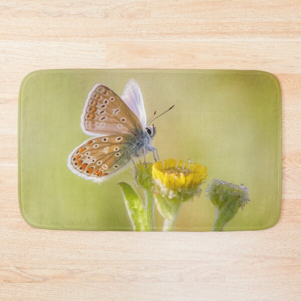 Item preview, Common Blue on Fleabane designed and sold by Alec Stewart.