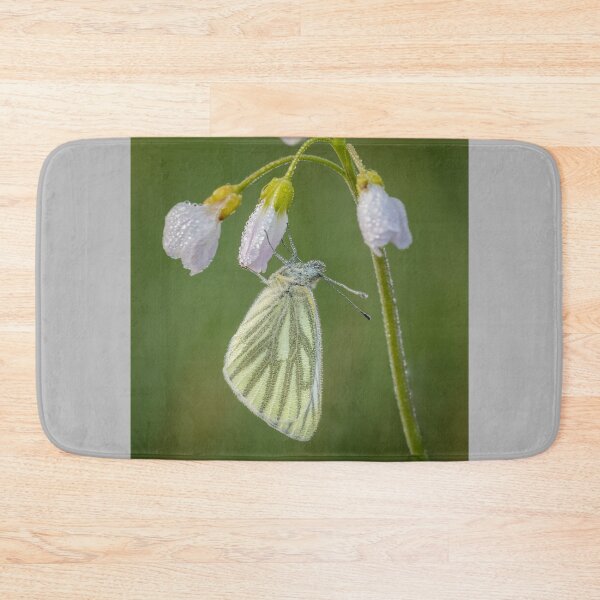 Item preview, Green Veined White Butterfly On Cuckoo Flower designed and sold by Alec Stewart.