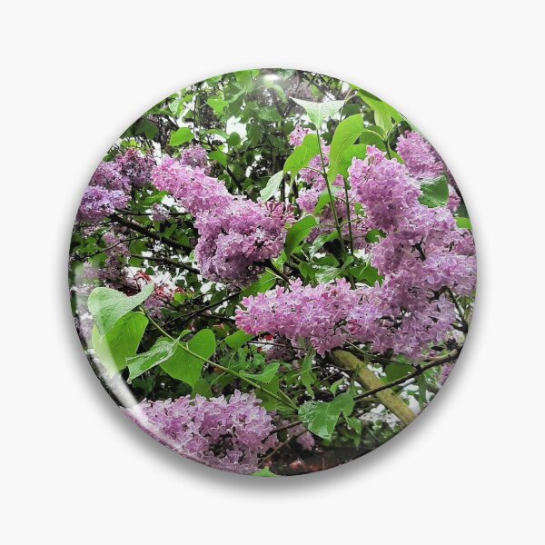 Item preview, Luscious Lilacs designed and sold by Lesliebc.