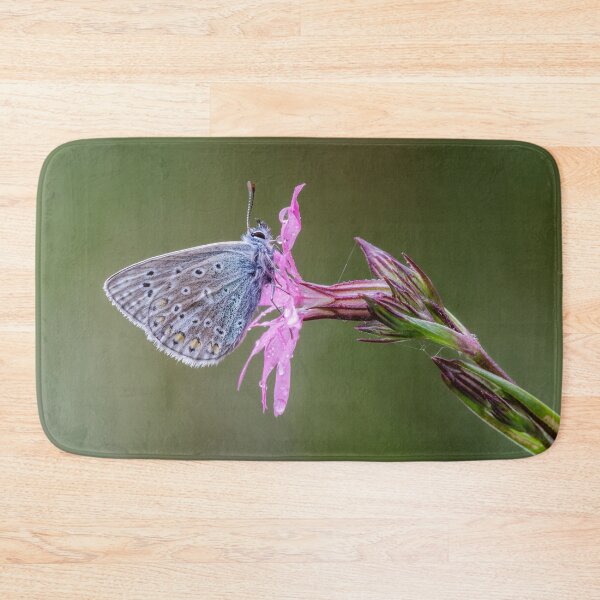 Item preview, Common Blue Butterfly designed and sold by Alec Stewart.