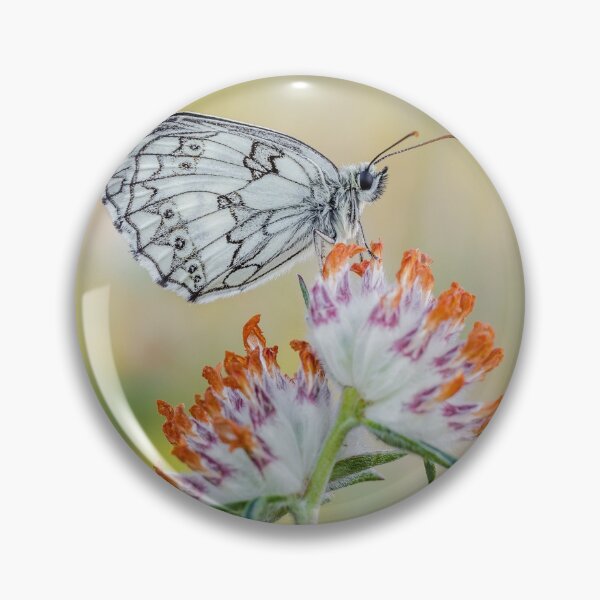 Item preview, Marbled White Butterfly  designed and sold by Alec Stewart.