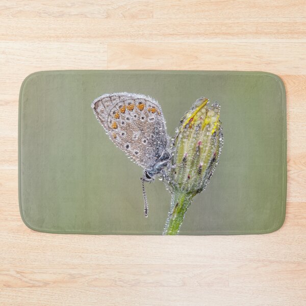 Item preview, Common Blue Butterfly On Hawkweed designed and sold by Alec Stewart.