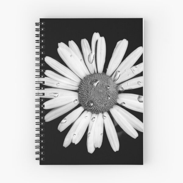Aperçu de l'œuvre Marguerite sauvage avec rosée du matin créée et vendue par Steve Silverman.