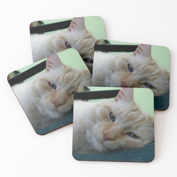 Item preview, Charlie, another picture designed and sold by kostolany244.