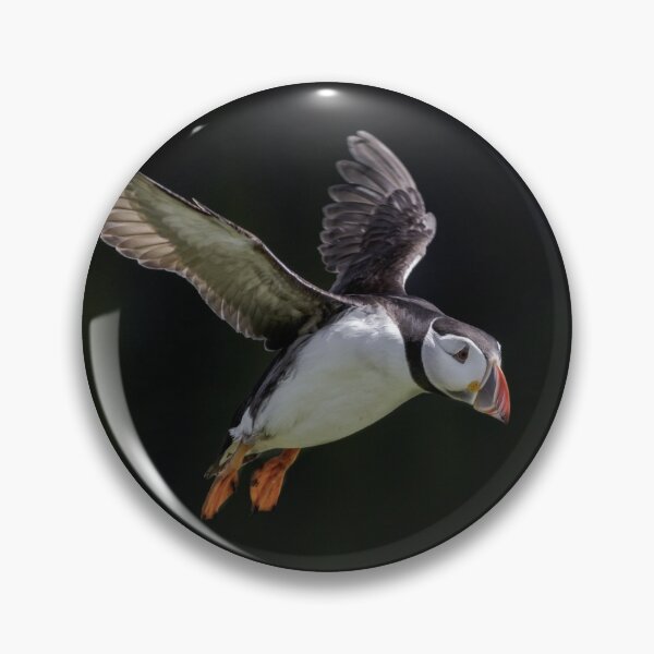Item preview, Puffin In Flight designed and sold by Alec Stewart.