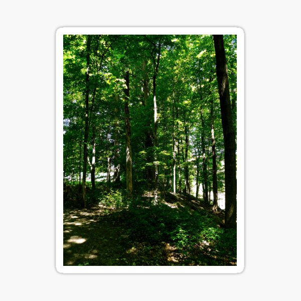 Item preview, Dappled Hillside designed and sold by STEELGRAPHICS.