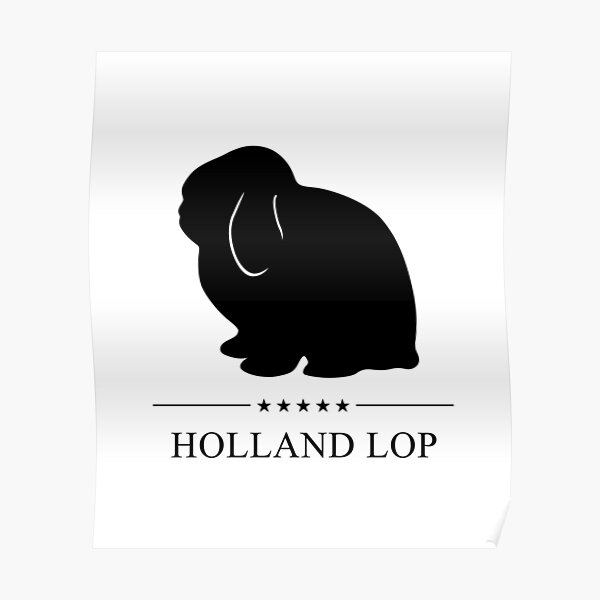 Free Free 91 Lionhead Rabbit Svg SVG PNG EPS DXF File