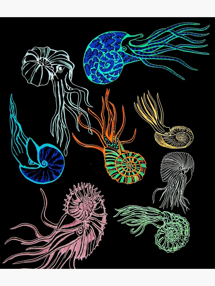 Ammonites-Black by RaLiz