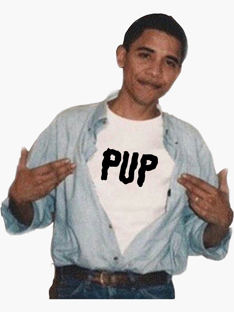 pup the band shirt