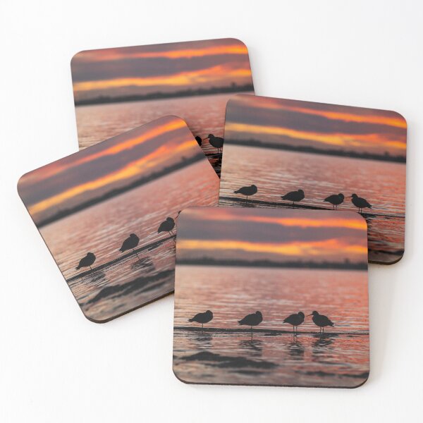 Item preview, Sandpiper designed and sold by Bryan Stuckey.