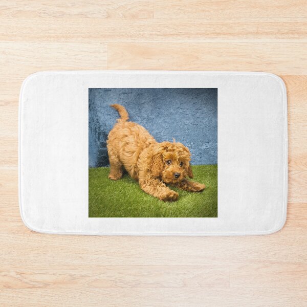 Item preview, Cockapoo designed and sold by angieanguk.
