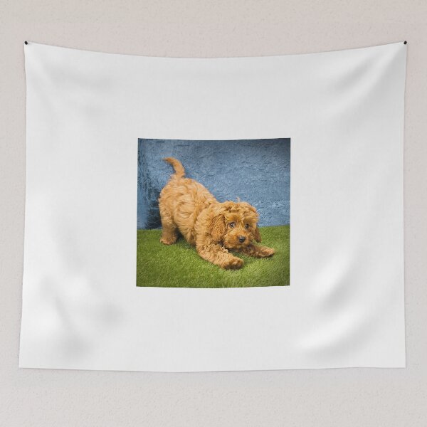 Item preview, Cockapoo designed and sold by angieanguk.