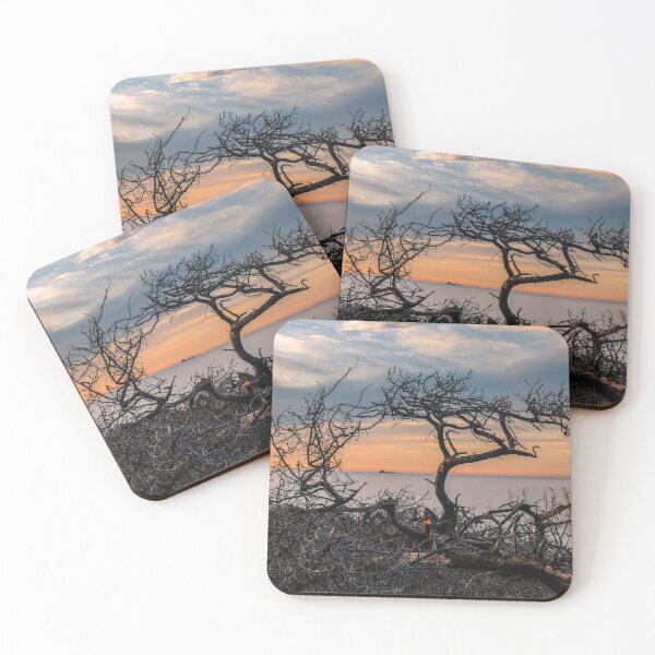 Item preview, Torrey Frames designed and sold by Bryan Stuckey.