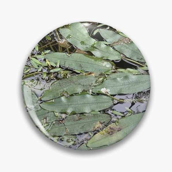 Item preview, Leaves on the water designed and sold by agnessa38.