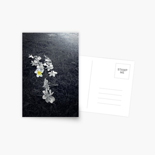 Beautiful Postcard