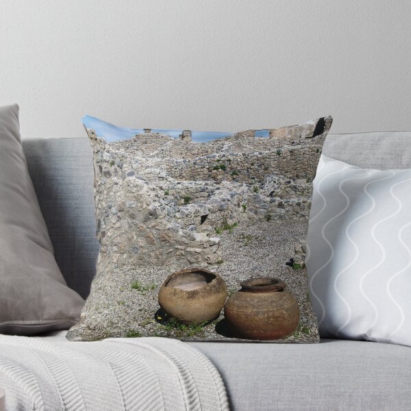 Item preview, Almost intact among the ruins. designed and sold by Trish Meyer.