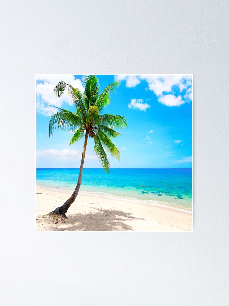 Poster Palmier Pres De La Plage Oeuvre Magnifique Pour Les Amoureux De La Mer Et De L Ete Par Loftshirt Redbubble