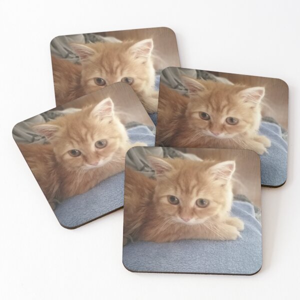 Item preview, Cats  designed and sold by Walaaghobashy.
