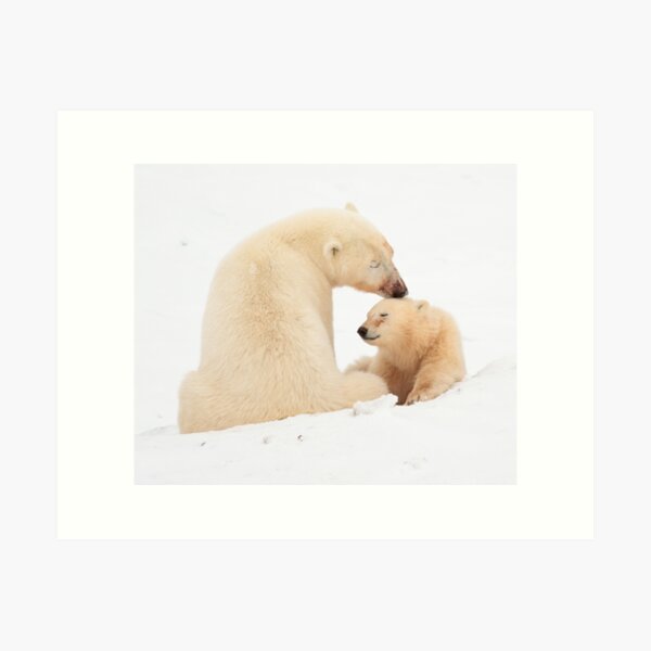 A mother's love Art Print