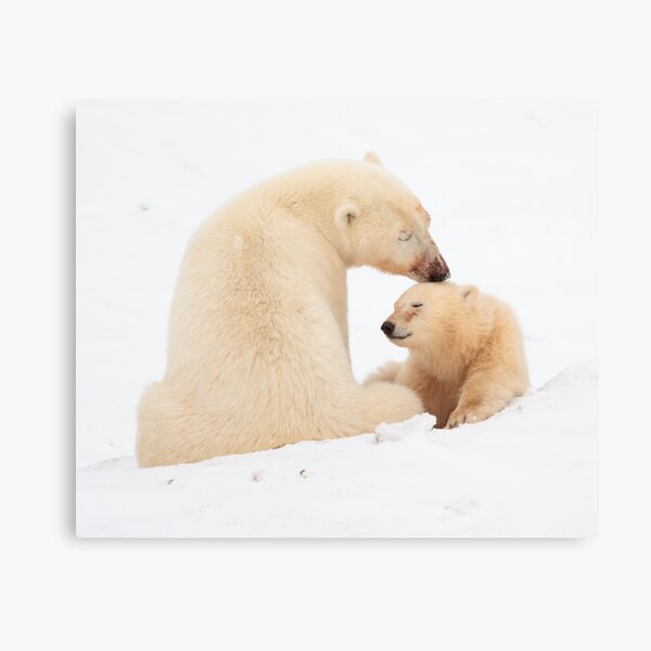 A mother's love Canvas Print