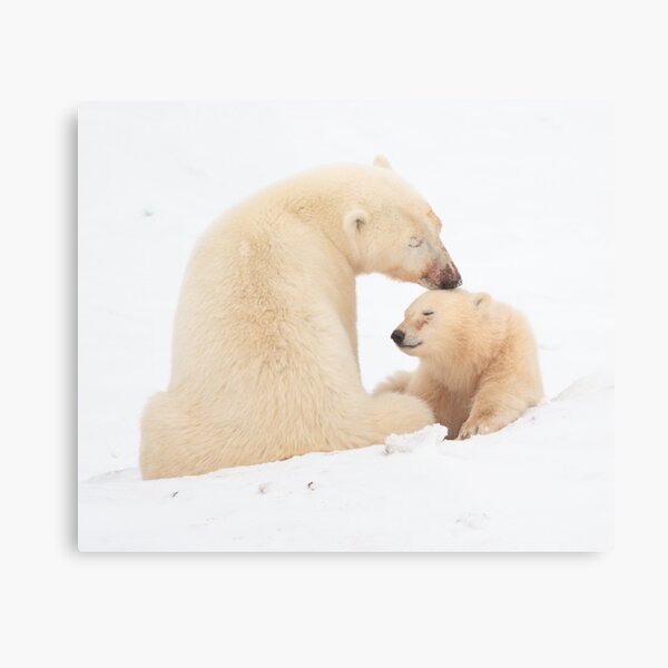 A mother's love Metal Print