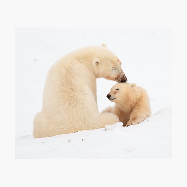 A mother's love Photographic Print
