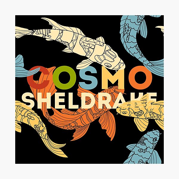 Item preview, Cosmo Sheldrake with Koi Fish designed and sold by KylieBeth Designs.