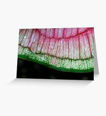 Mother Nature's Artful Expression (as-is) Greeting Card