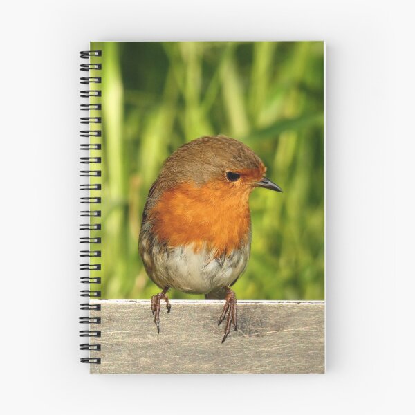 Item preview, Robin Redbreast designed and sold by LittleRedRiding.