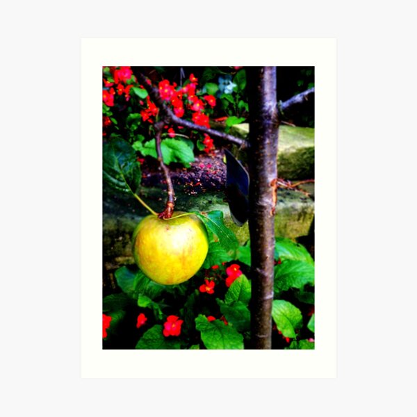 Apple Art Print